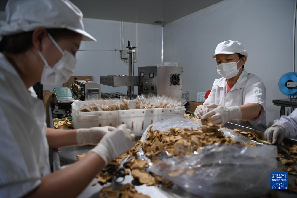 传奇电子试玩官网